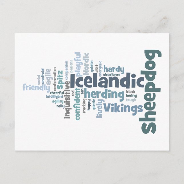 Icelandic Sheepdog Postcard (Front)