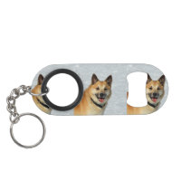 IcelandicSheepdog20150904