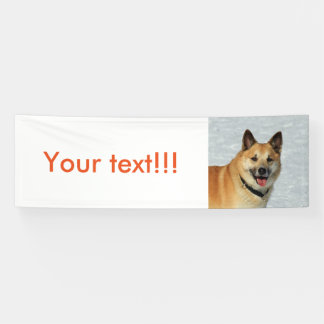 IcelandicSheepdog20150904 Banner