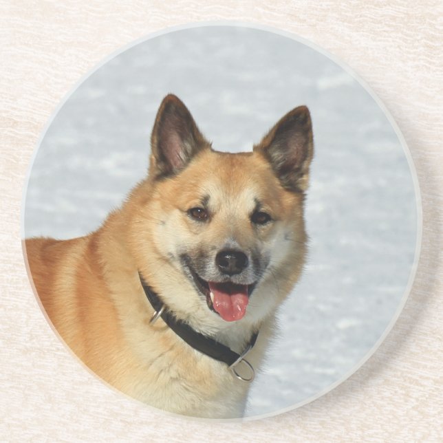 IcelandicSheepdog20150904 Coaster (Front)