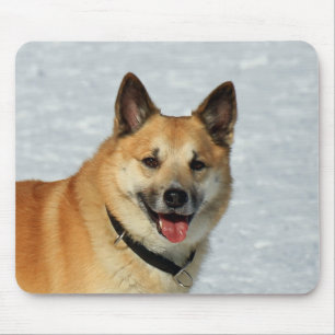 IcelandicSheepdog20150904 Mouse Pad