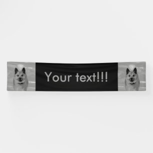 IcelandicSheepdog20151203 Banner