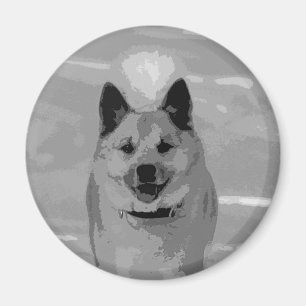 IcelandicSheepdog20151204 Magnet