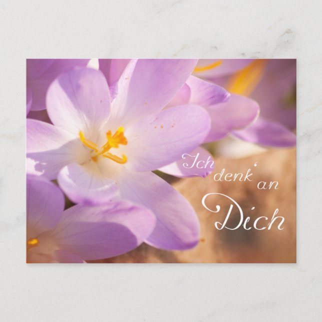 Ich denk an Dich Postcard (Front)