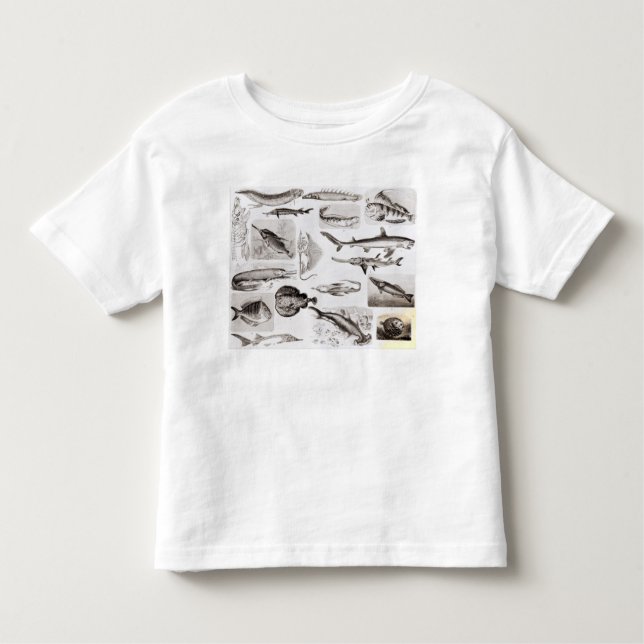 Ichthyology- Elasmobranch, Ganoid Toddler T-Shirt (Front)