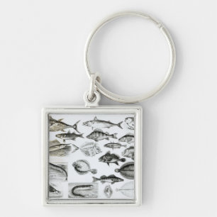 Ichthyology Osseous Fishes Key Ring