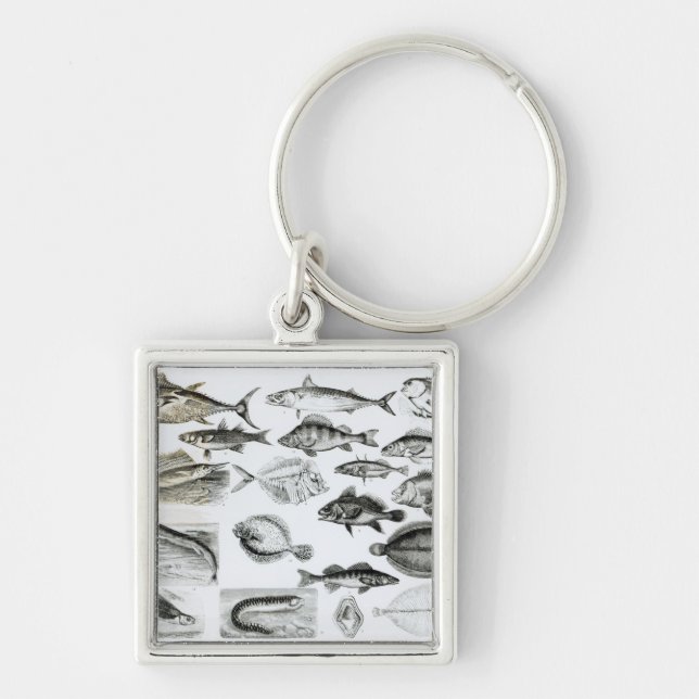 Ichthyology Osseous Fishes Key Ring (Front)