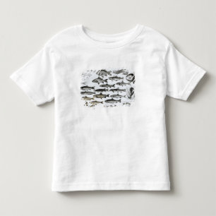 Ichthyology, Osseous Fishes, Marisipobranchs Toddler T-Shirt