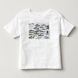Ichthyology, Osseous Fishes, Marisipobranchs Toddler T-Shirt