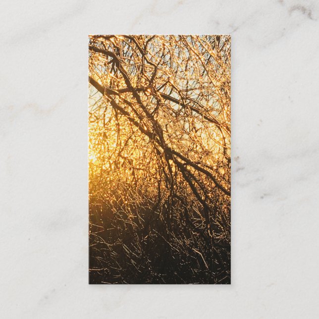 icicle branches business card (Front)