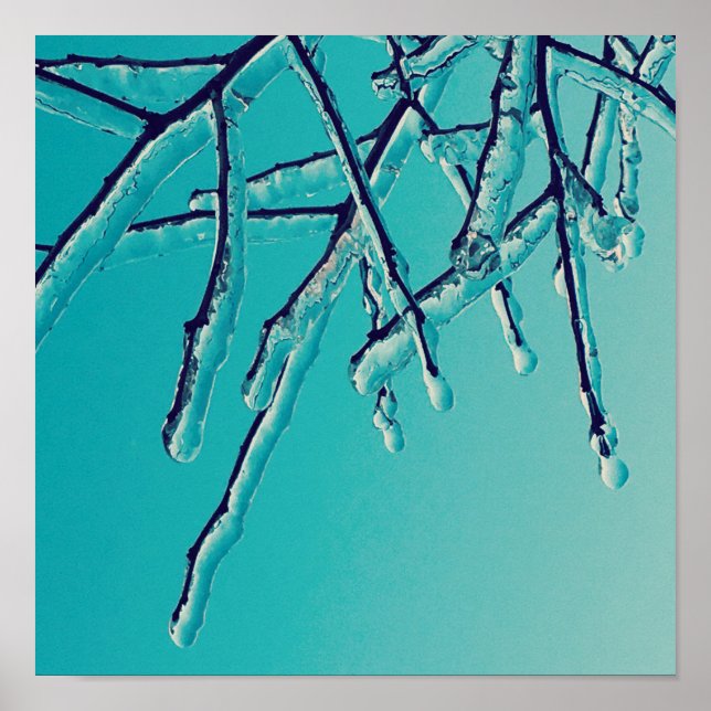 icicle branches poster (Front)