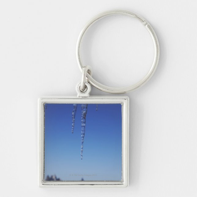 Icicles and snow-covered mountains key ring (Front)