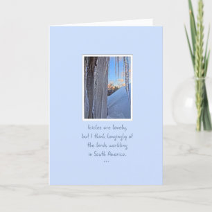 Icicles at Sunrise Birds in South America Card