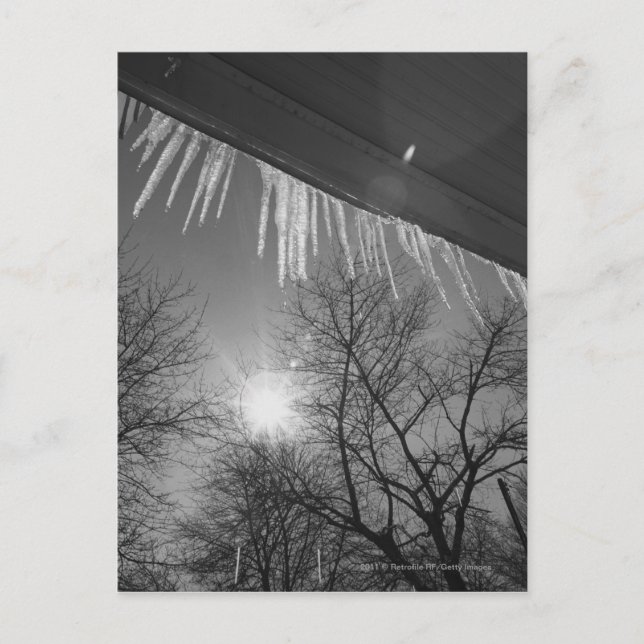 Icicles on roof and sun postcard (Front)