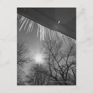 Icicles on roof and sun postcard