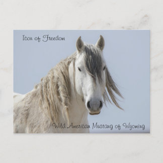 Icon of Freedom - Postcard