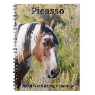 Icon of Sand Wash Basin Notebook