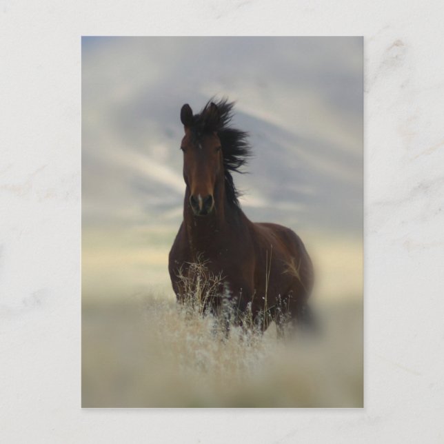 Iconic Postcard (Front)