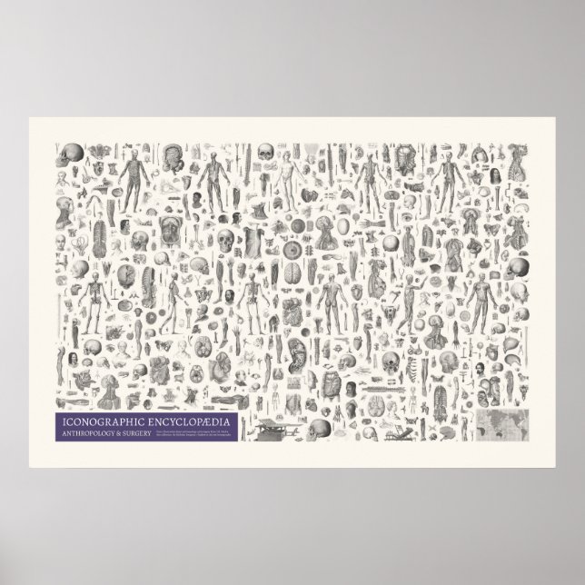 Iconography - Anthropology & Surgery Poster (Front)