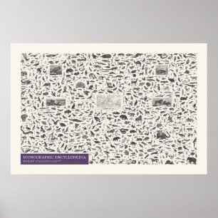 Iconography - Zoology Figures Poster