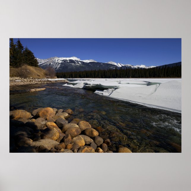 Icy Athabasca River Poster (Front)