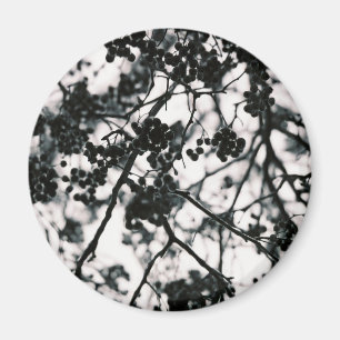 Icy Berries Magnet
