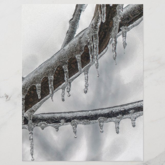 Icy Branch (Front)