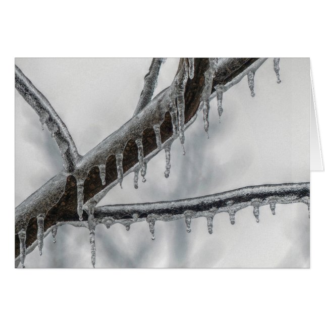 Icy Branch (Front Horizontal)