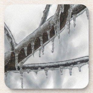 Icy Branch Coaster