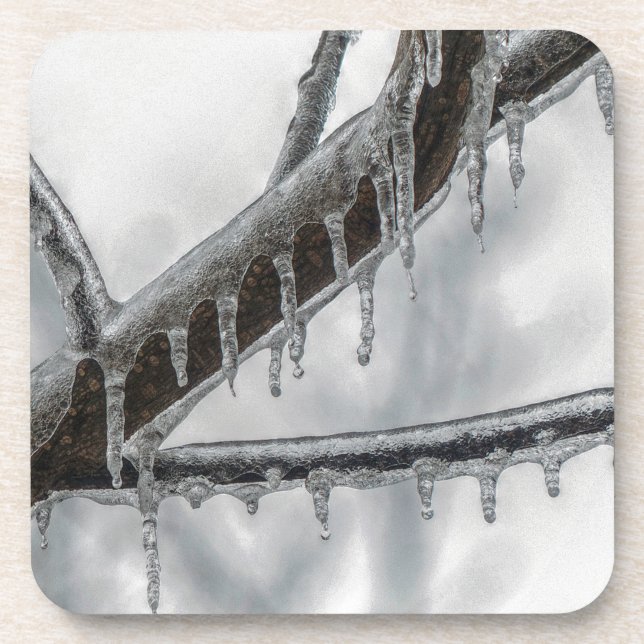 Icy Branch Coaster (Front)