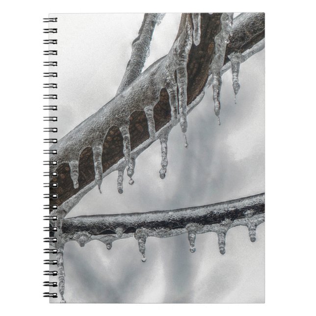 Icy Branch Notebook (Front)
