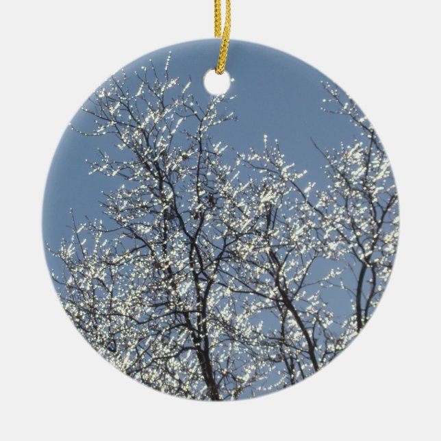 Icy Branches in Winter Blue Sky Ceramic Ornament (Front)