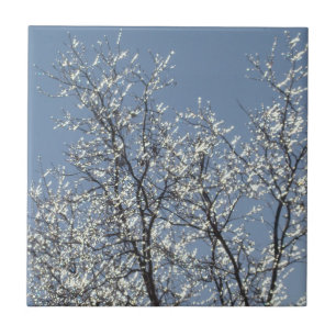 Icy Branches in Winter Blue Sky Ceramic Tile
