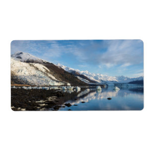Icy College Fjord
