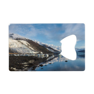 Icy College Fjord