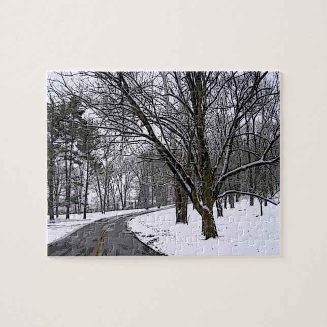Icy Deserted Road Jigsaw Puzzle (Horizontal)