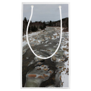 Icy Footprint in the River Small Gift Bag
