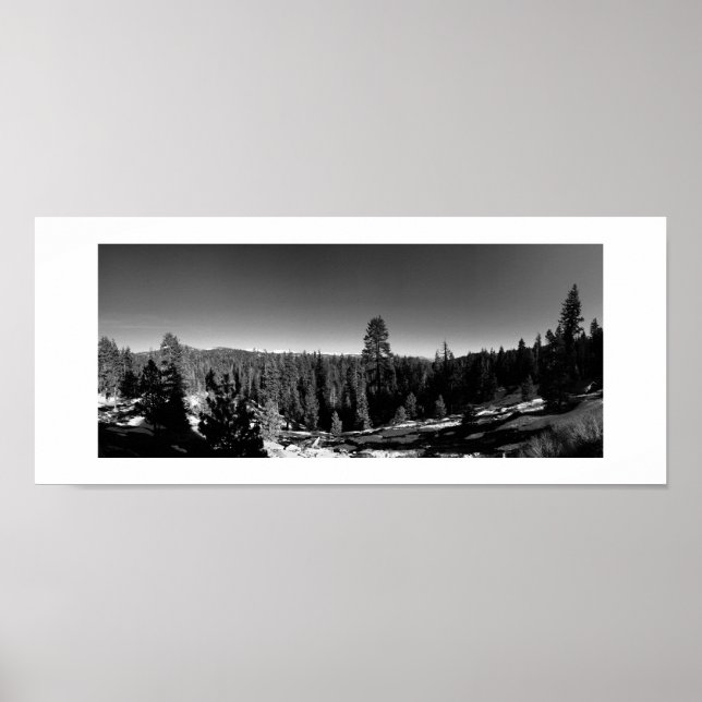 Icy Forest Panoramic Black and White Photography Poster (Front)