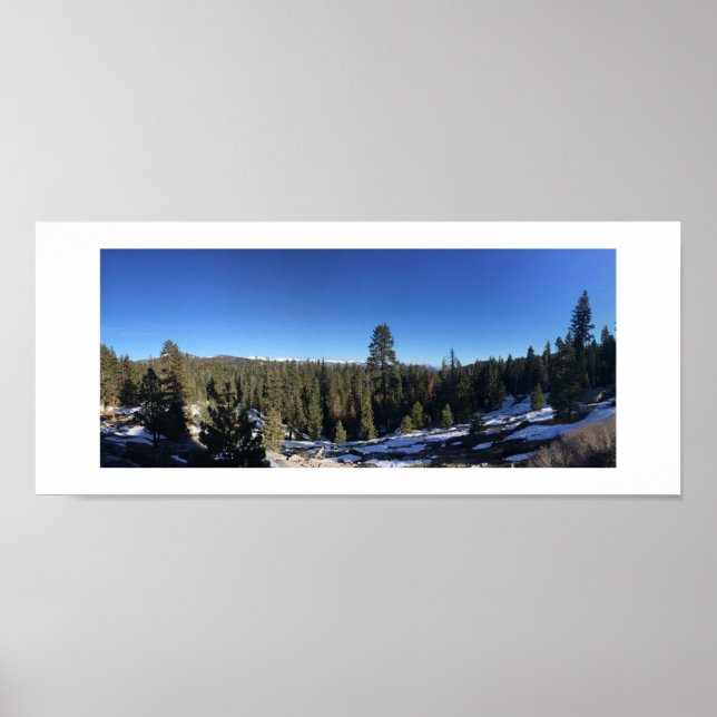Icy Forest Panoramic Colour Photography Poster (Front)