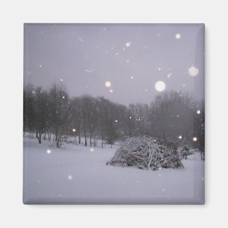 Icy Glitter Magnet