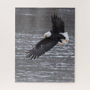 Icy Landing: Bald Eagle Puzzle