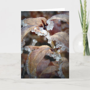 Icy Leaves Card