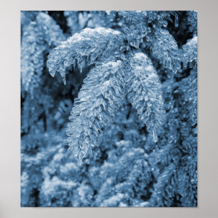 Icy pine tree poster