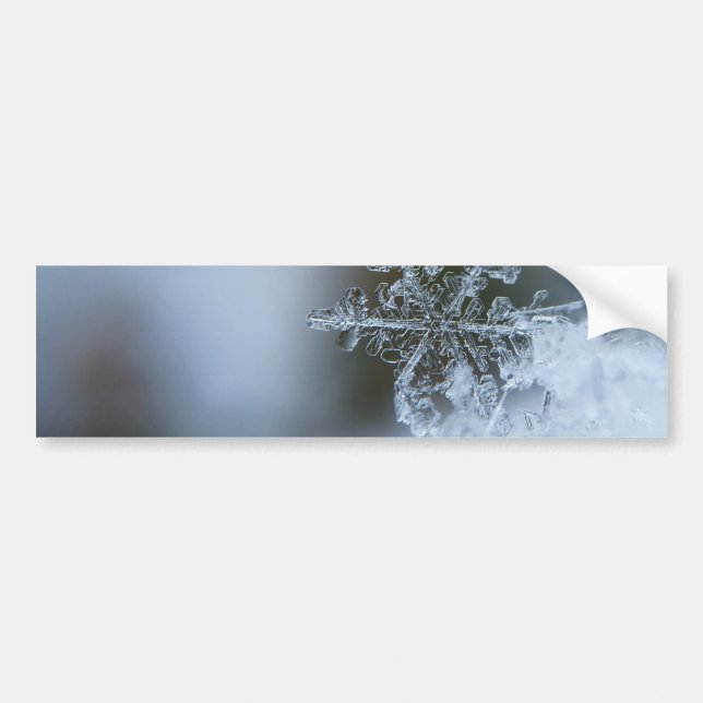 Icy Snowflake Bumper Sticker (Front)