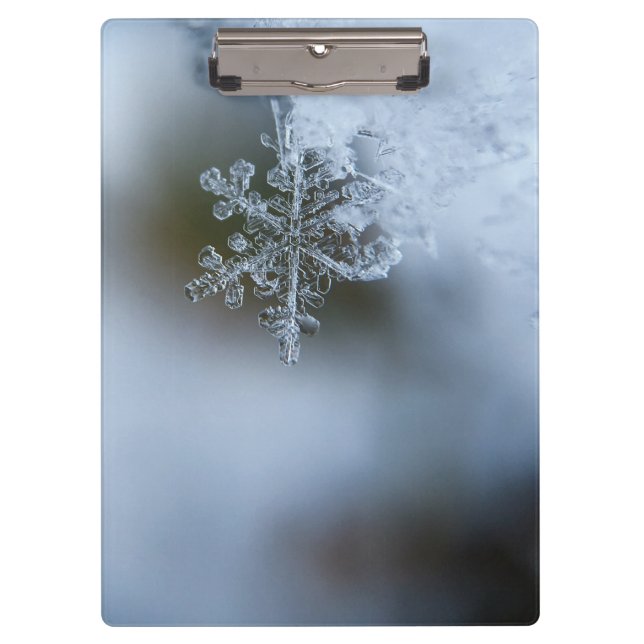 Icy Snowflake Clipboard (Front)