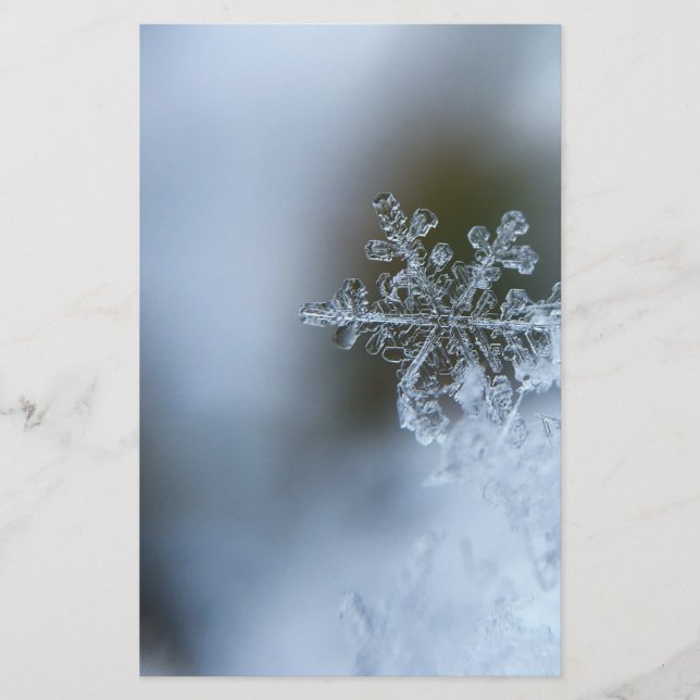 Icy Snowflake Stationery (Front)