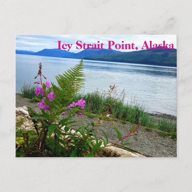 Icy Strait Point, Alaska Postcard (Front)