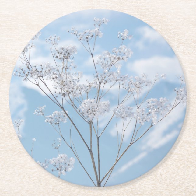 Icy Winter Frost on Hemlock © Sandy Long Round Paper Coaster (Front)