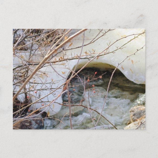 Icy Winter Melt Postcard (Front)