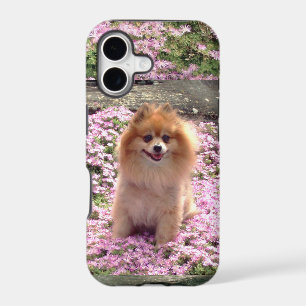 ID/Credit Card iPhone 5 Pomeranian Pink Flowers